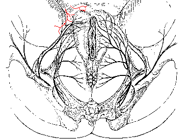 Figure 21.1
