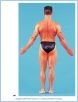 10-05aPosSupMuscl_UN
