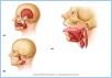 10-07_MasticaTongue_UN