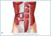 10-11_MuscAbdomWall_1_UN