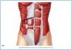 10-11aAbdomWall_UN