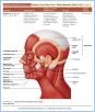 10-T01cFacialExpr_TAB