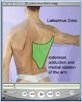 10_LatissimusDorsi_NA
